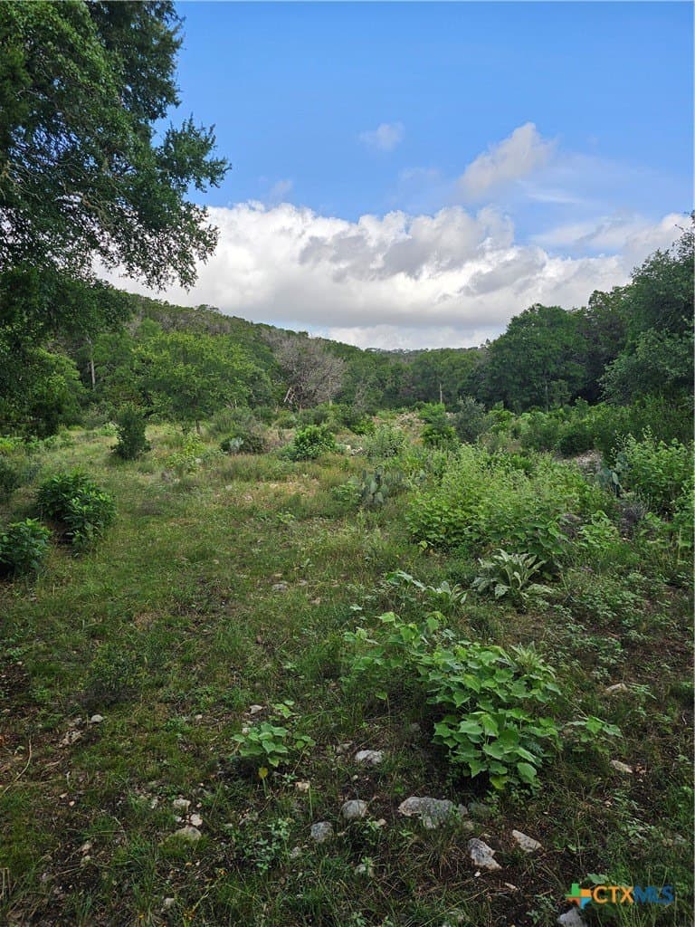 20 acres in Comal County gallery image 3