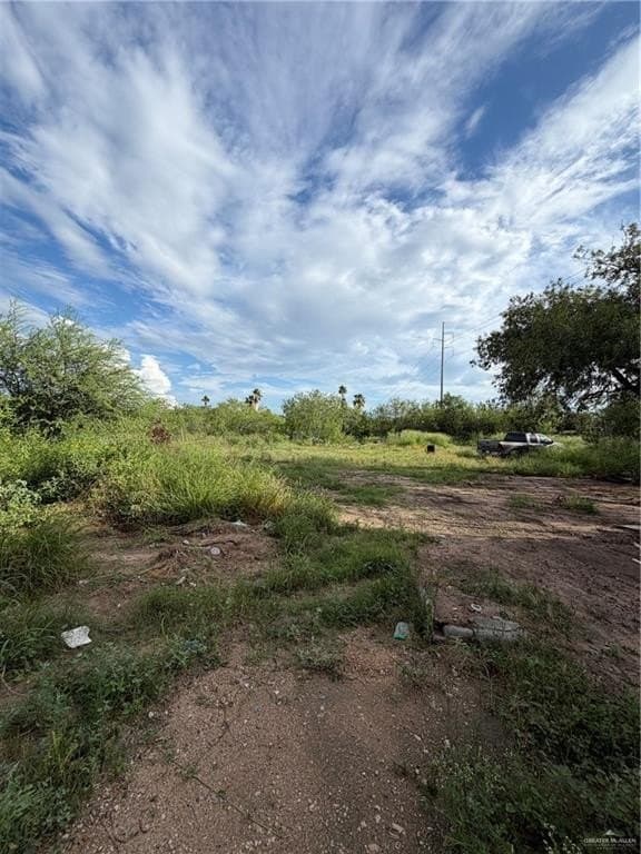 4.6 acres in Hidalgo County gallery image 2