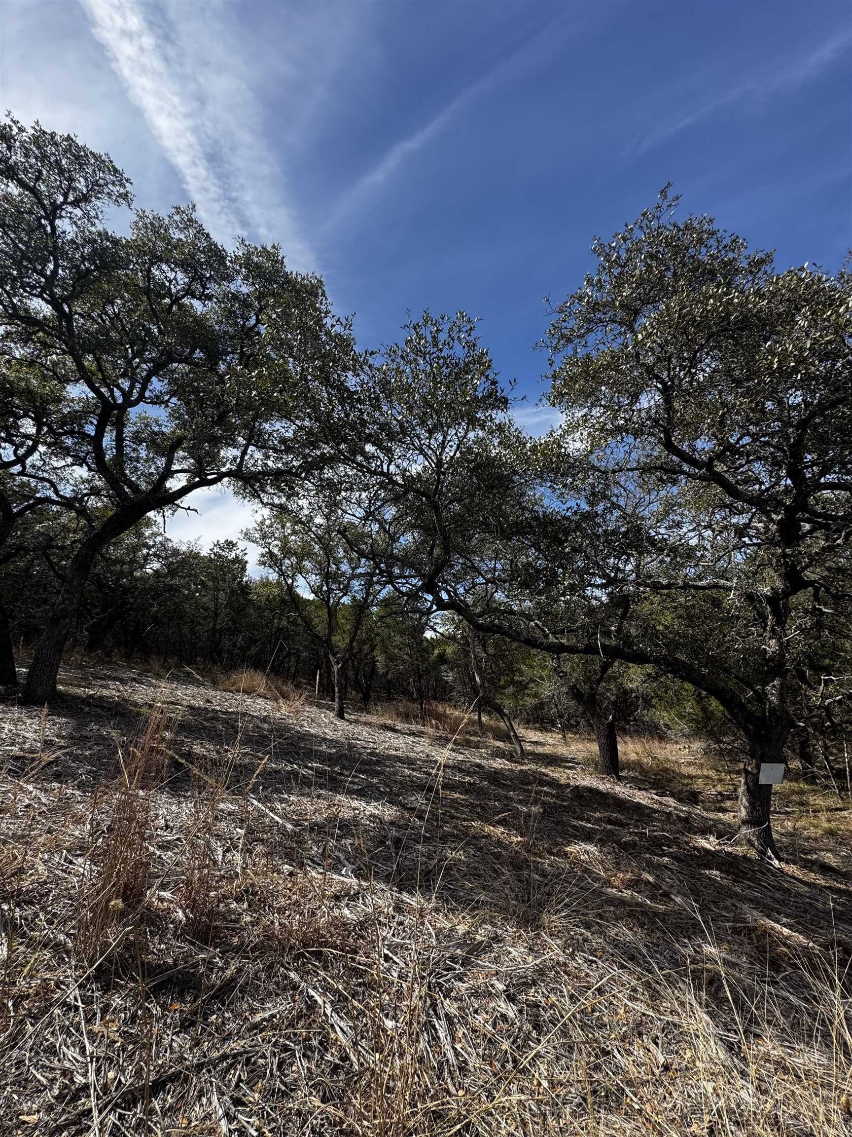 0.29 acres in Burnet County