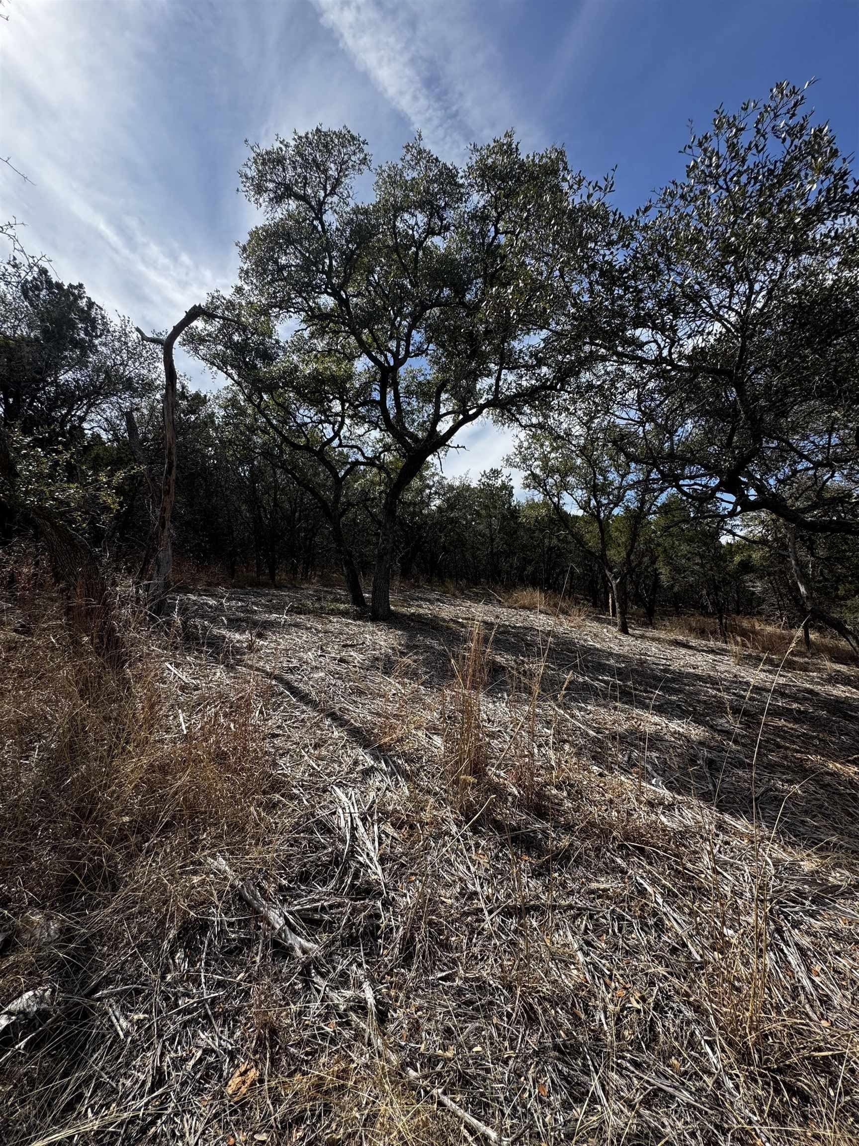 0.29 acres in Burnet County gallery image 2
