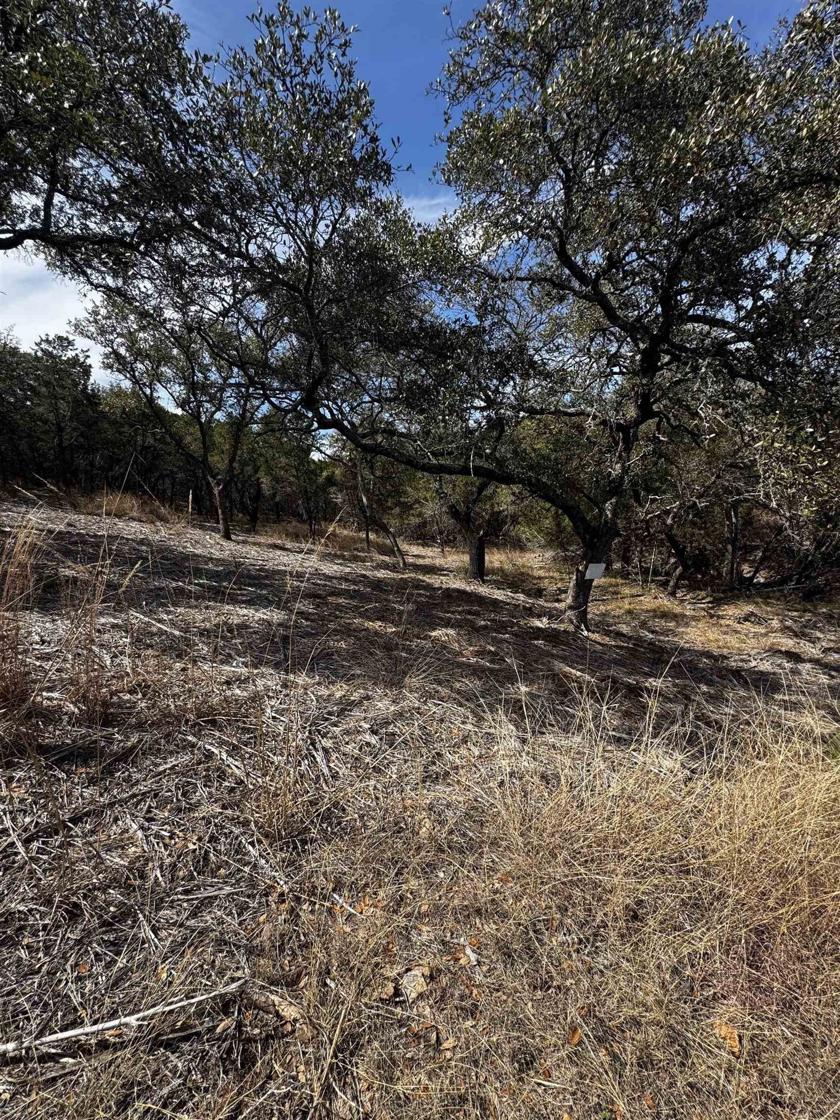 0.29 acres in Burnet County gallery image 3