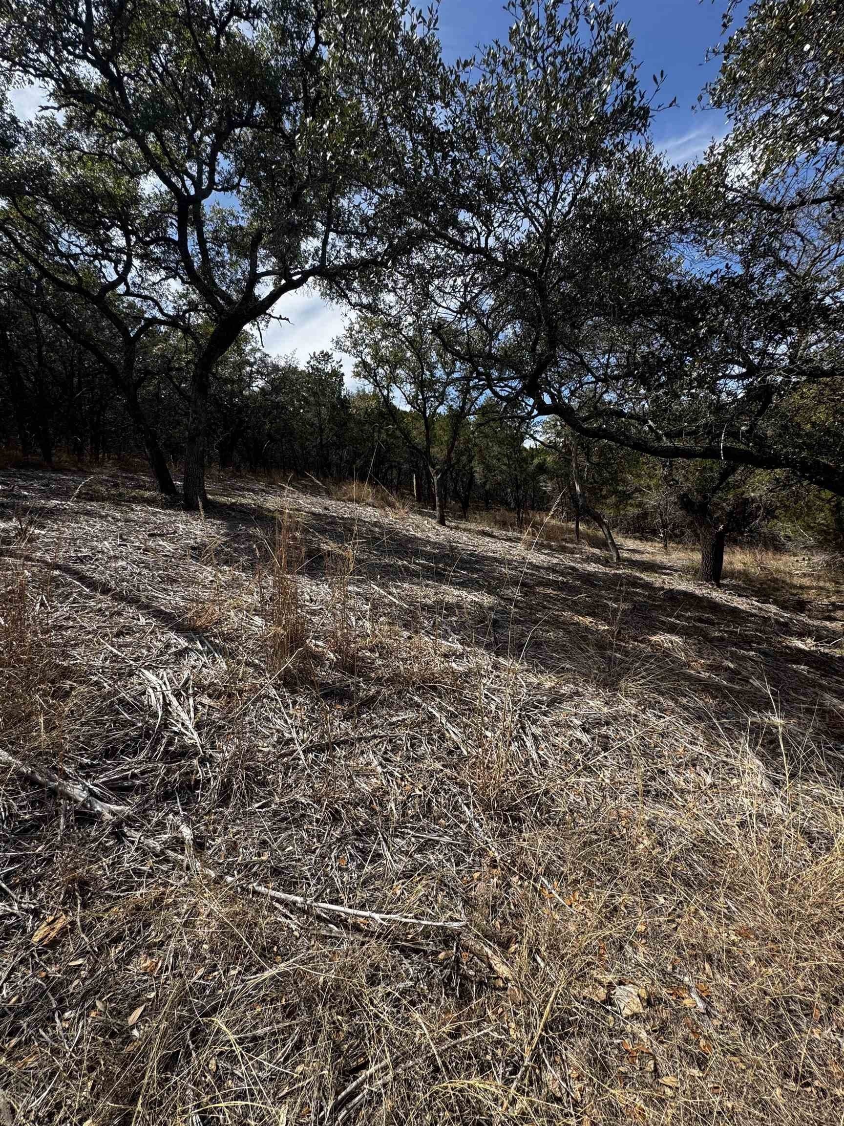 0.29 acres in Burnet County gallery image 4