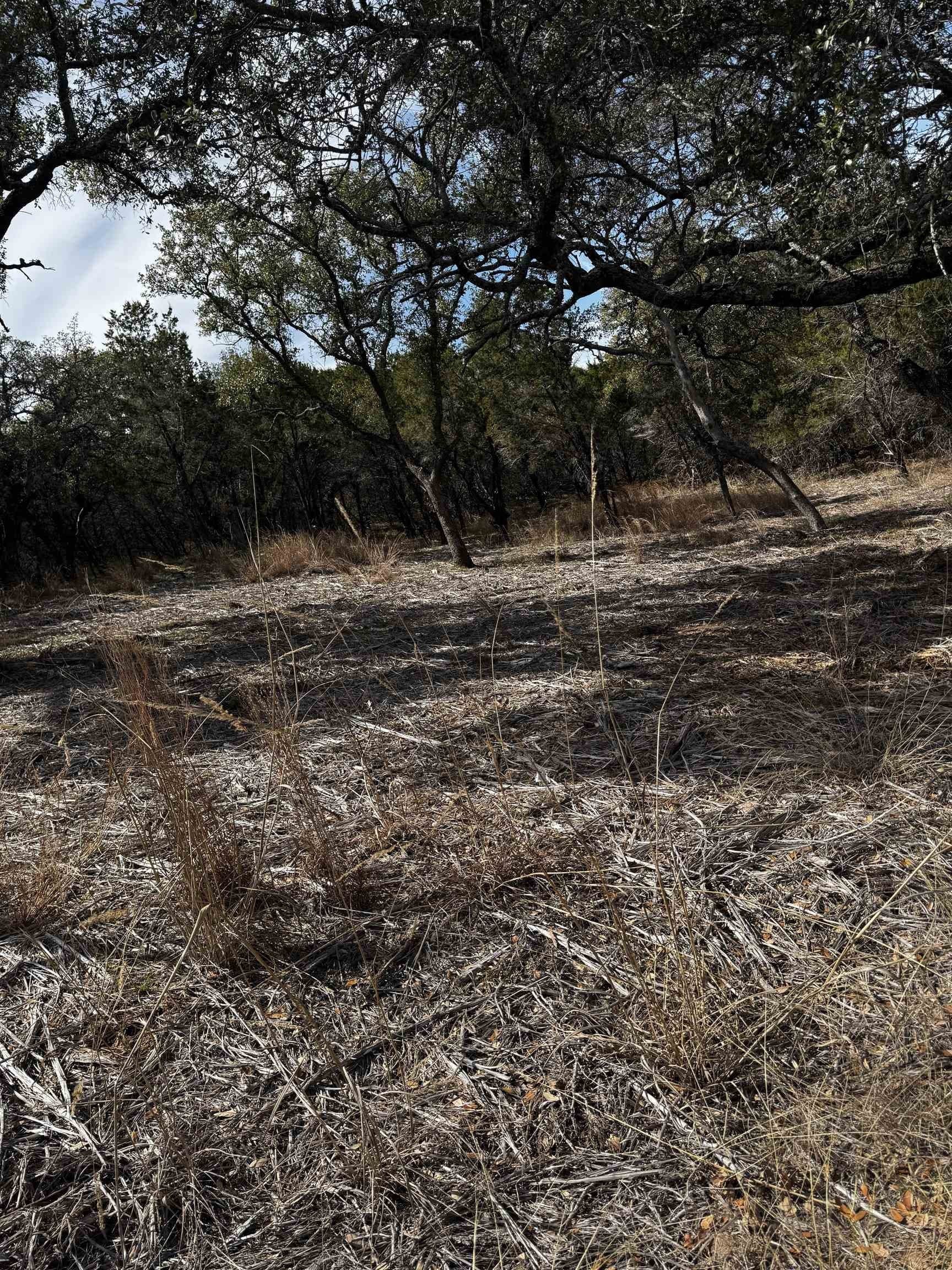 0.29 acres in Burnet County featured view