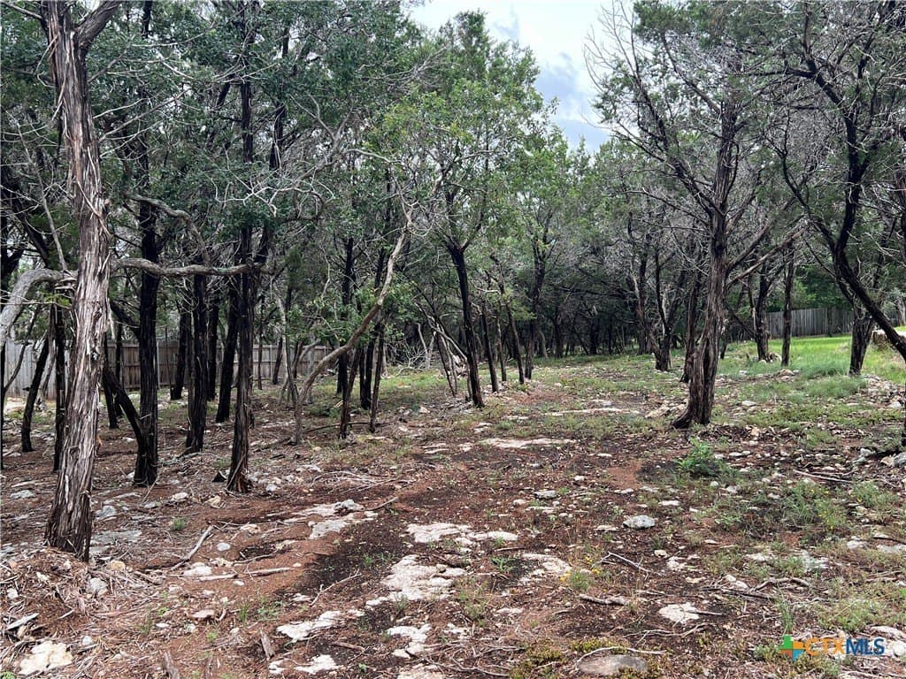 0.34 acres in Bell County gallery image 2