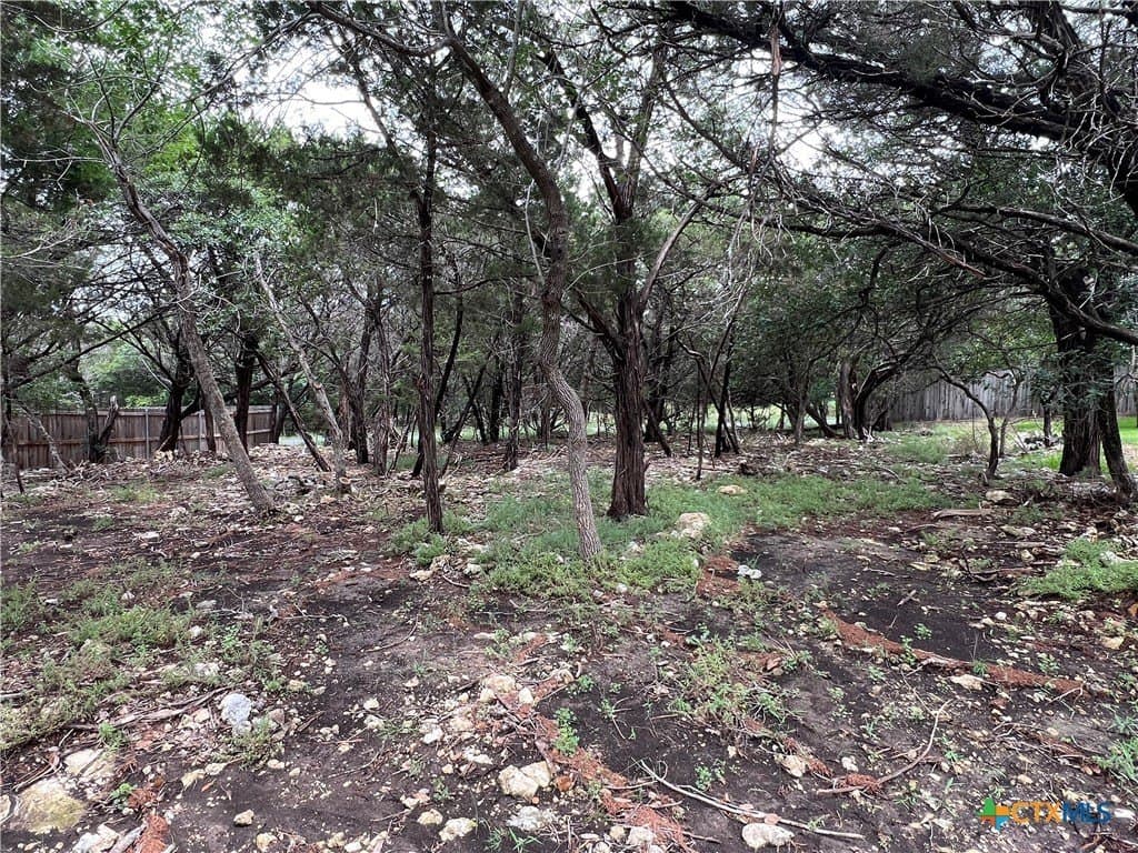 0.34 acres in Bell County gallery image 3