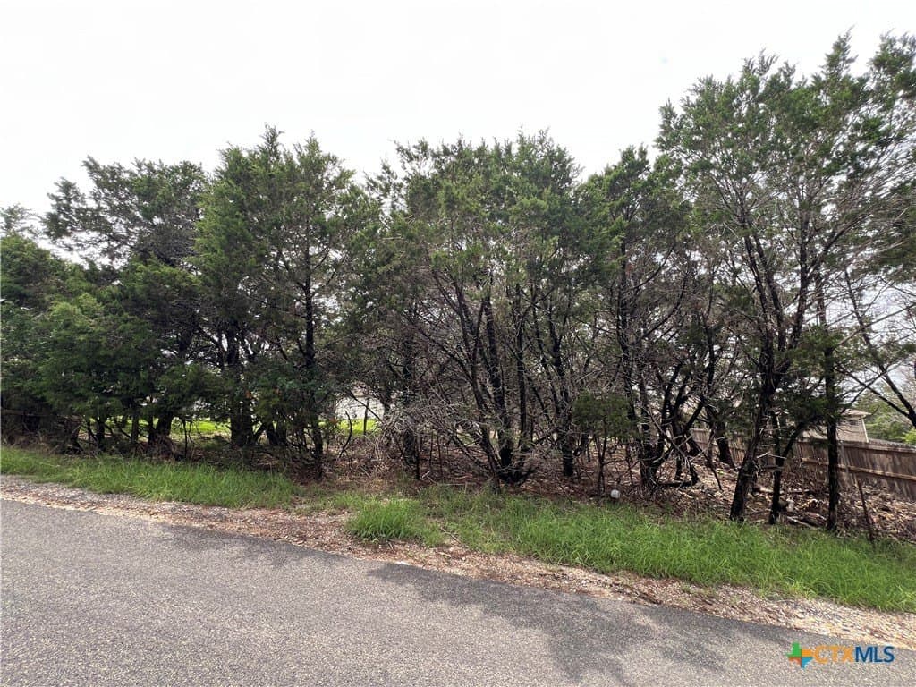 0.34 acres in Bell County gallery image 4