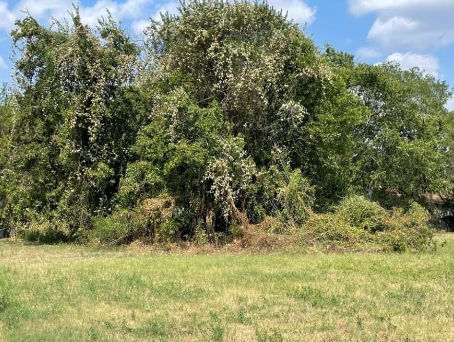 0.47 acres in McLennan County - photo 4