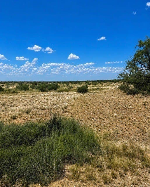 120 acres in Mitchell County - photo 6