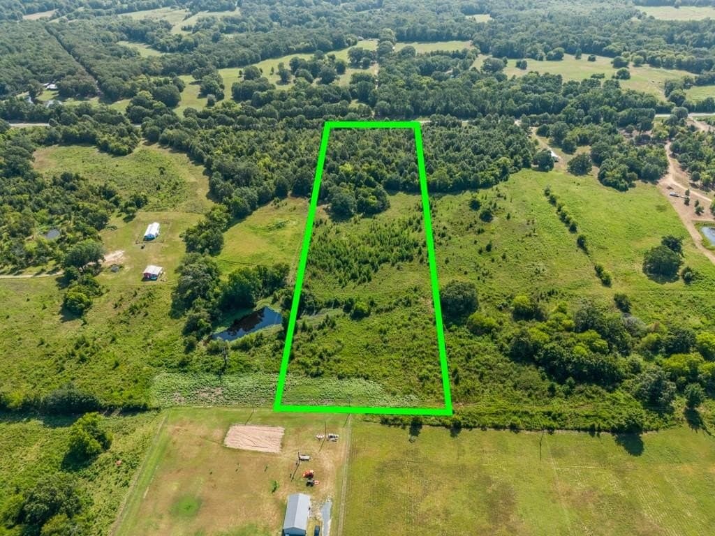 11.01 acres in Titus County gallery image 3