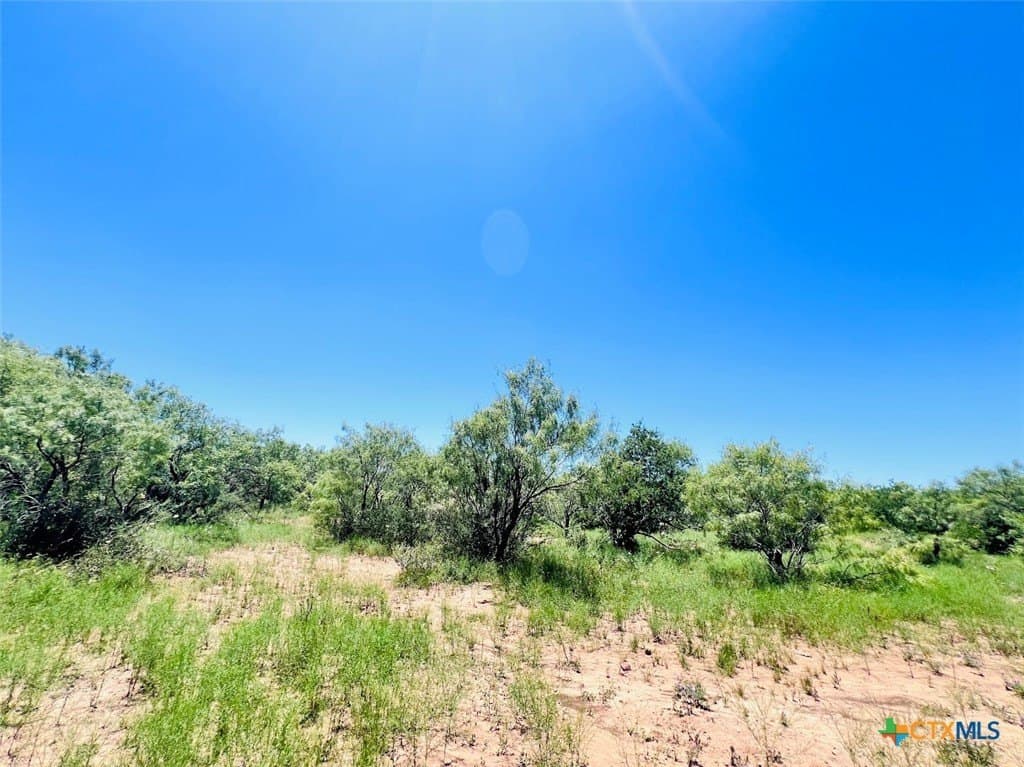 40 acres in Brown County - photo 10
