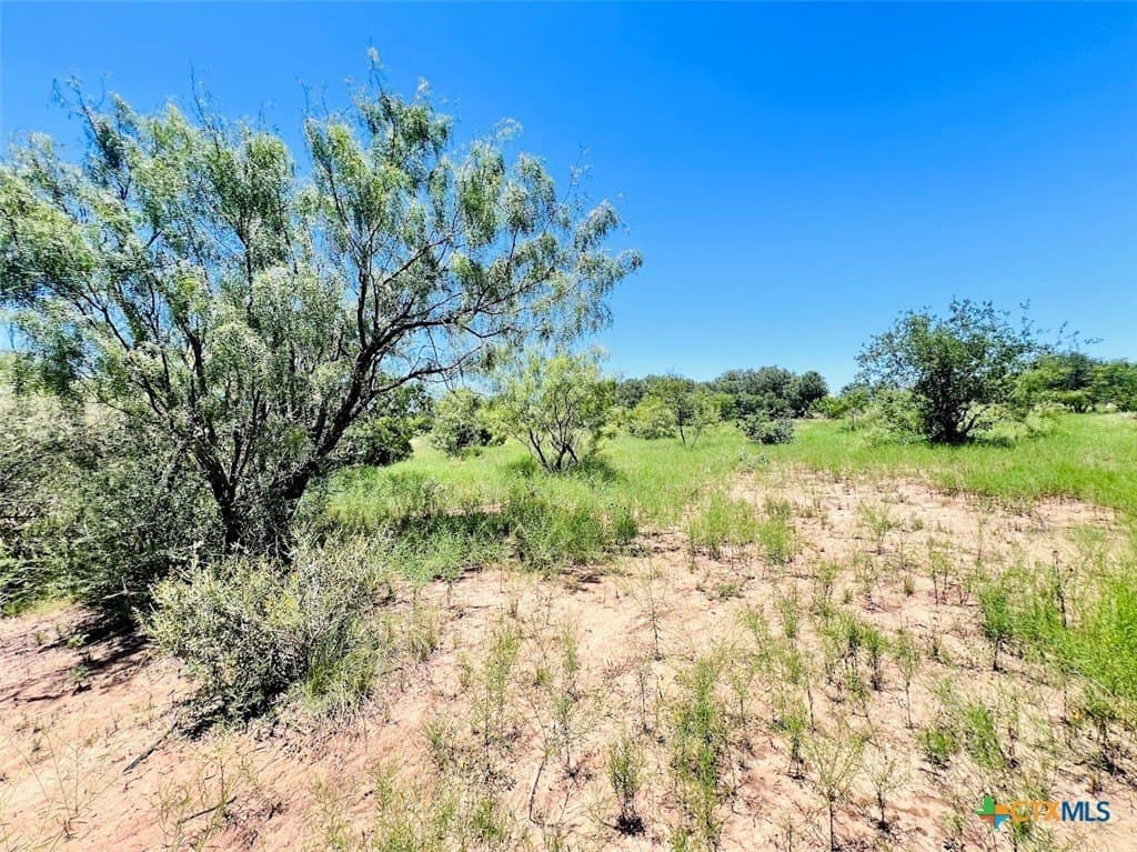 40 acres in Brown County gallery image 3