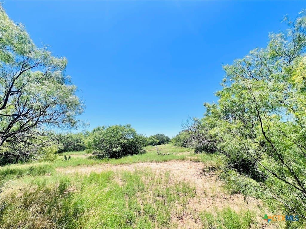 40 acres in Brown County - photo 8