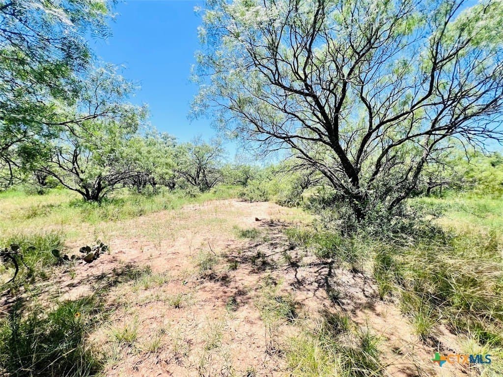 40 acres in Brown County - photo 7