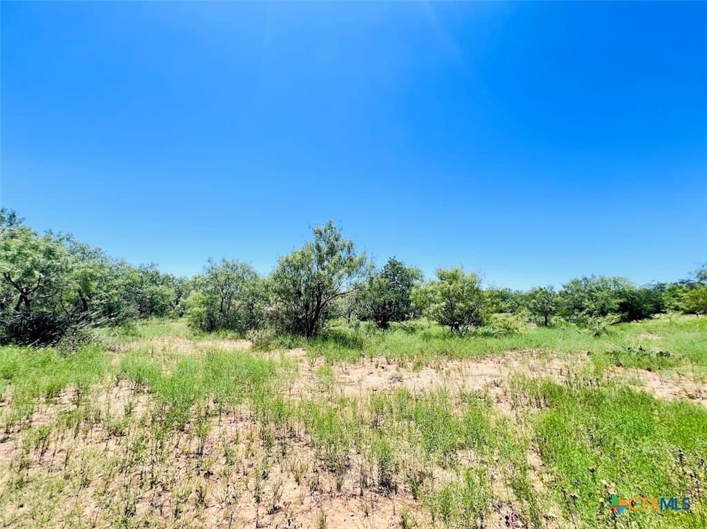 40 acres in Brown County gallery image 2