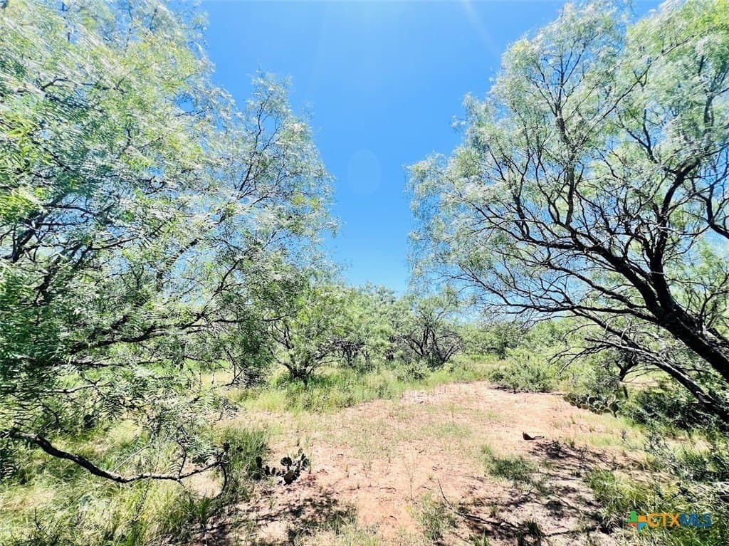 40 acres in Brown County - photo 9