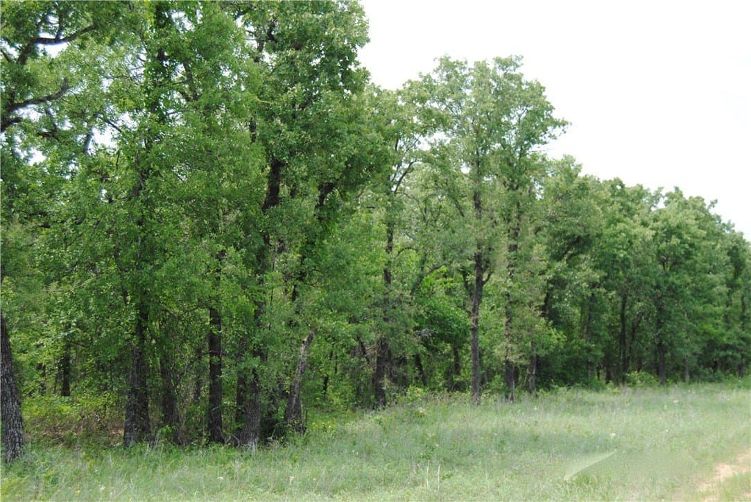 6.02 acres in Wise County - photo 8