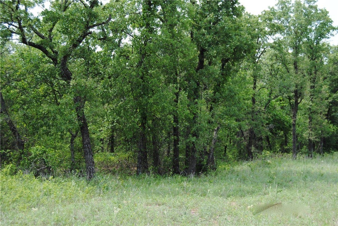 6.02 acres in Wise County - photo 9