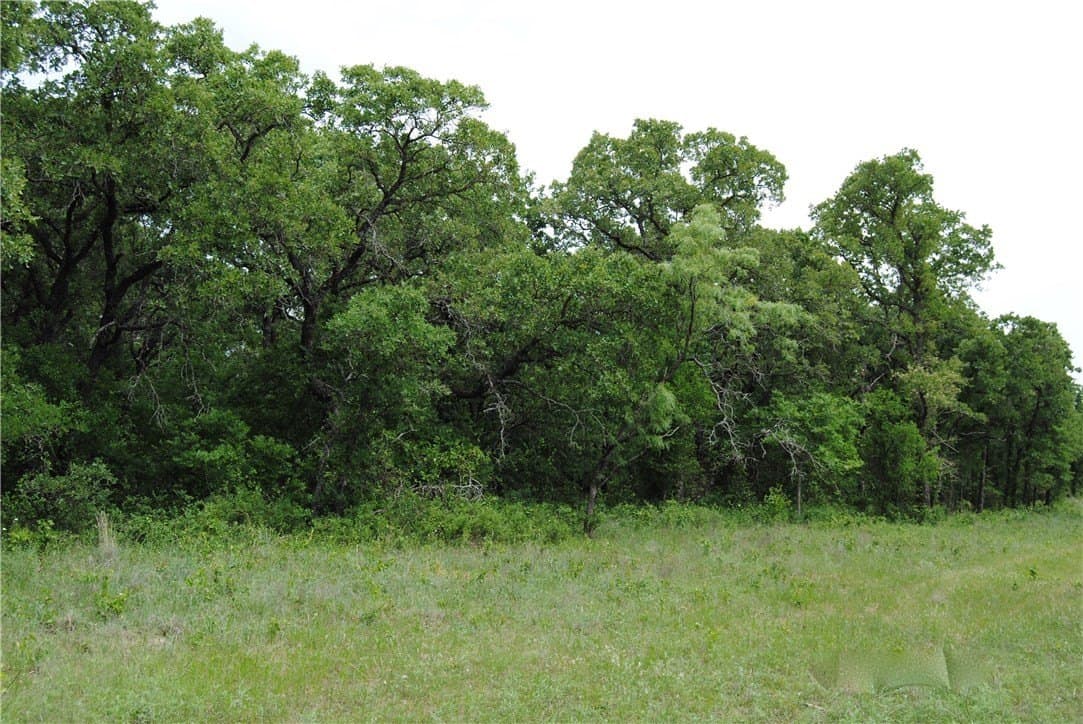 6.02 acres in Wise County - photo 5