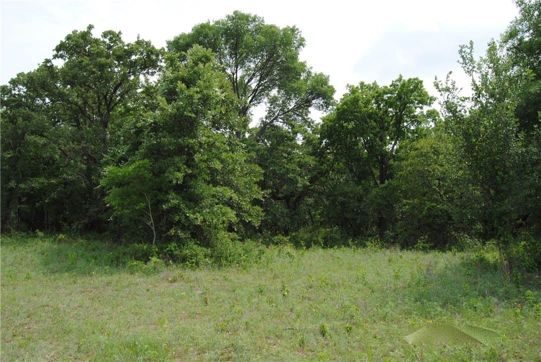 6.02 acres in Wise County - photo 6
