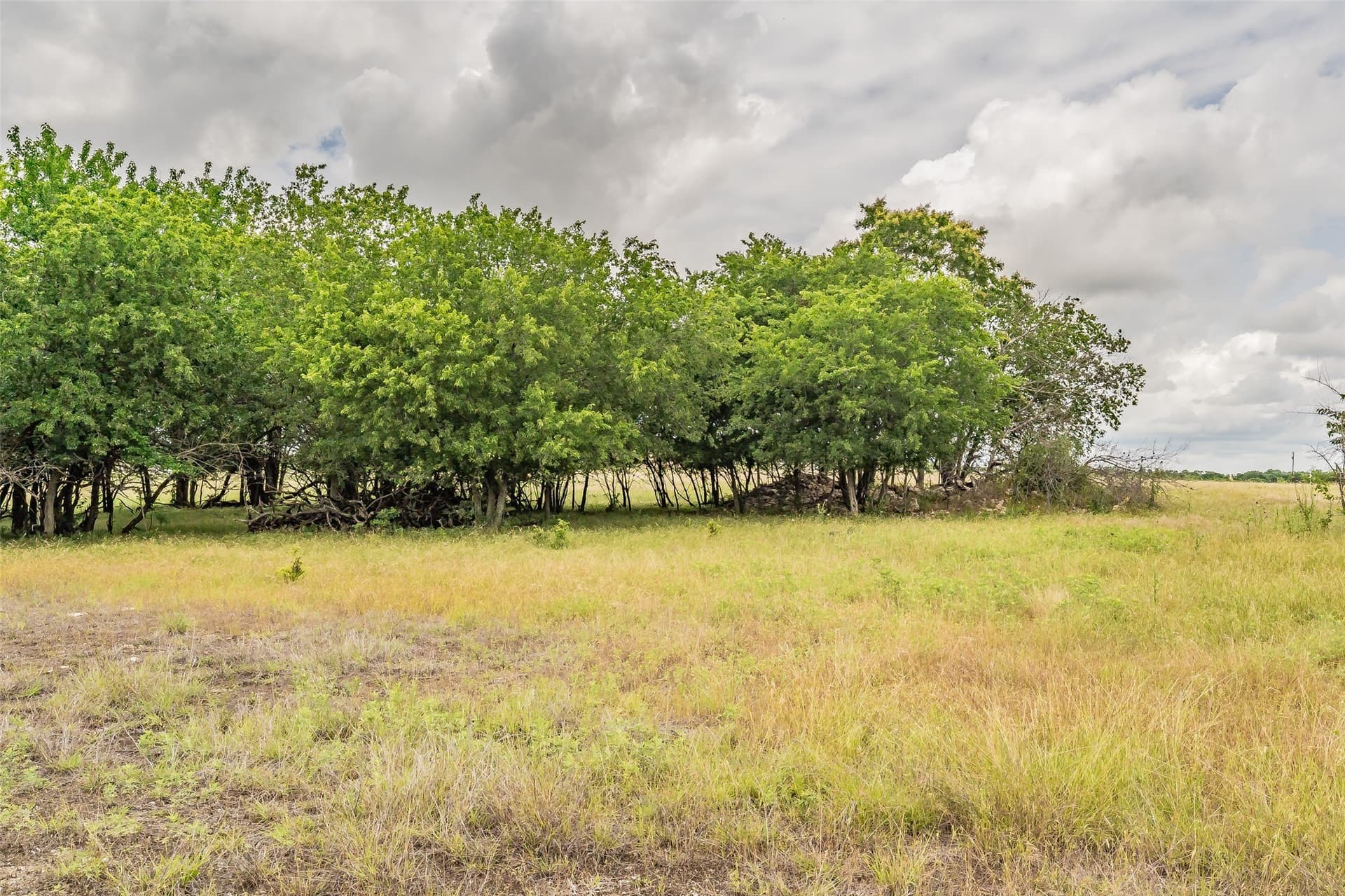 12.14 acres in Wise County gallery image 3