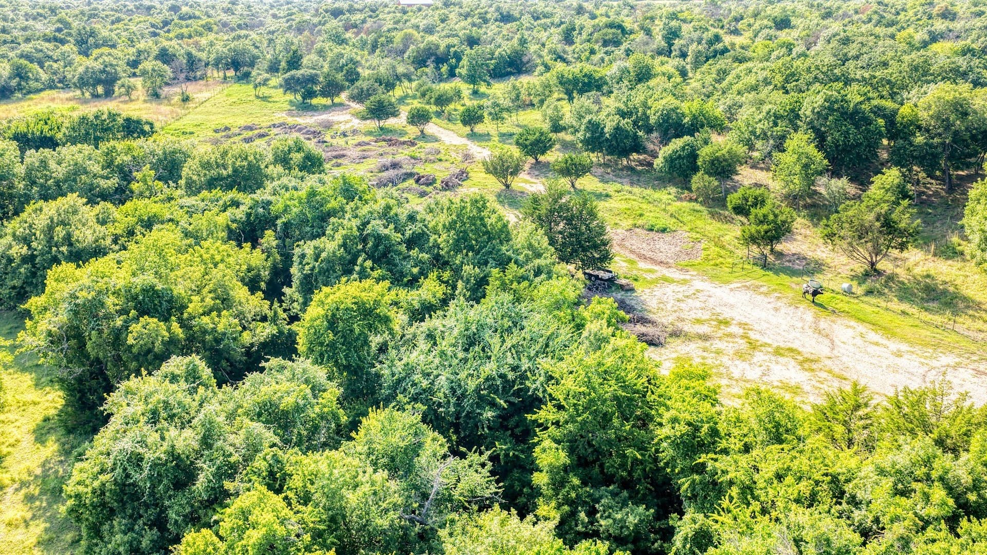 10.01 acres in Parker County - photo 10