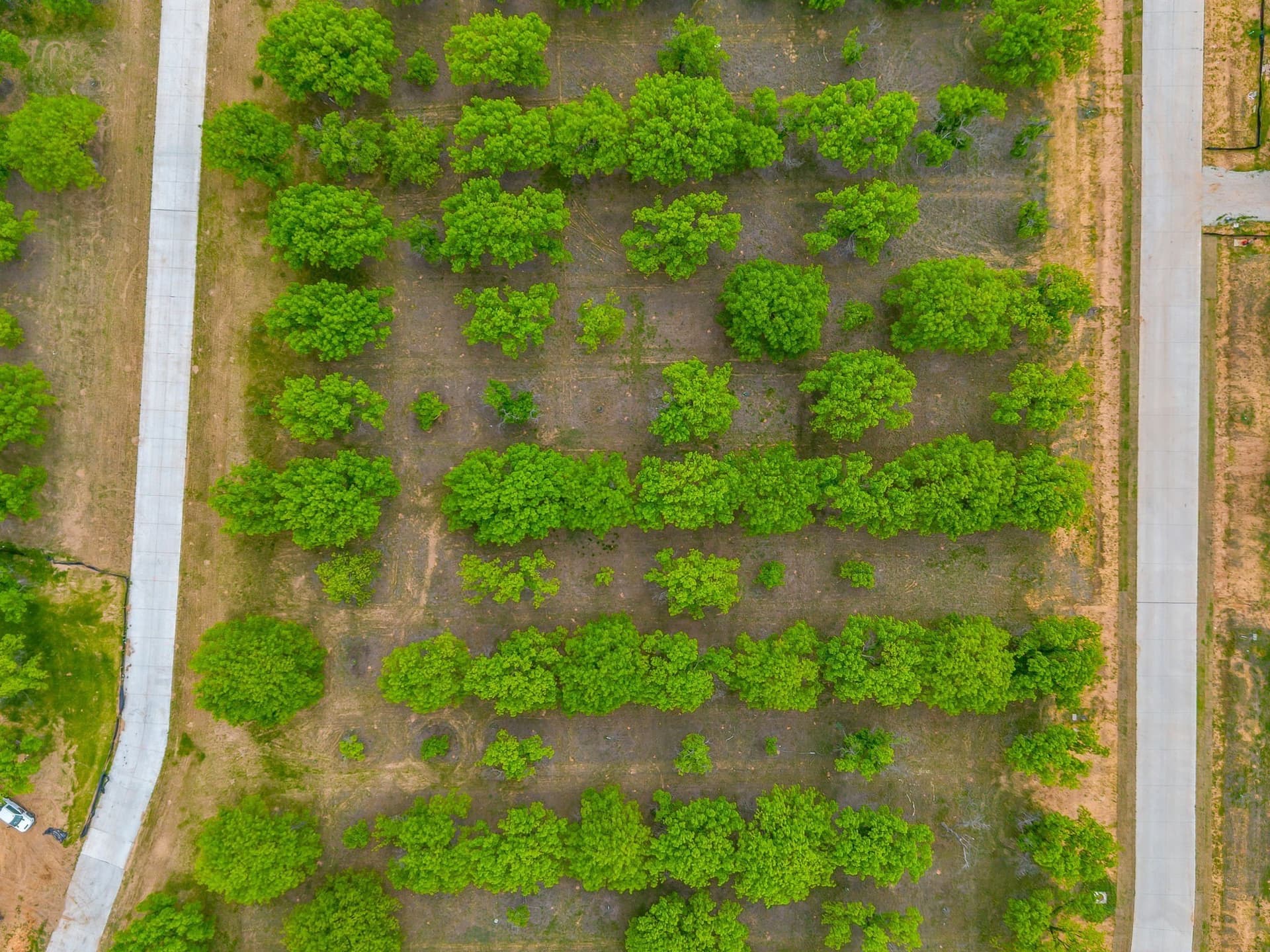 1.5 acres in Hood County - photo 11