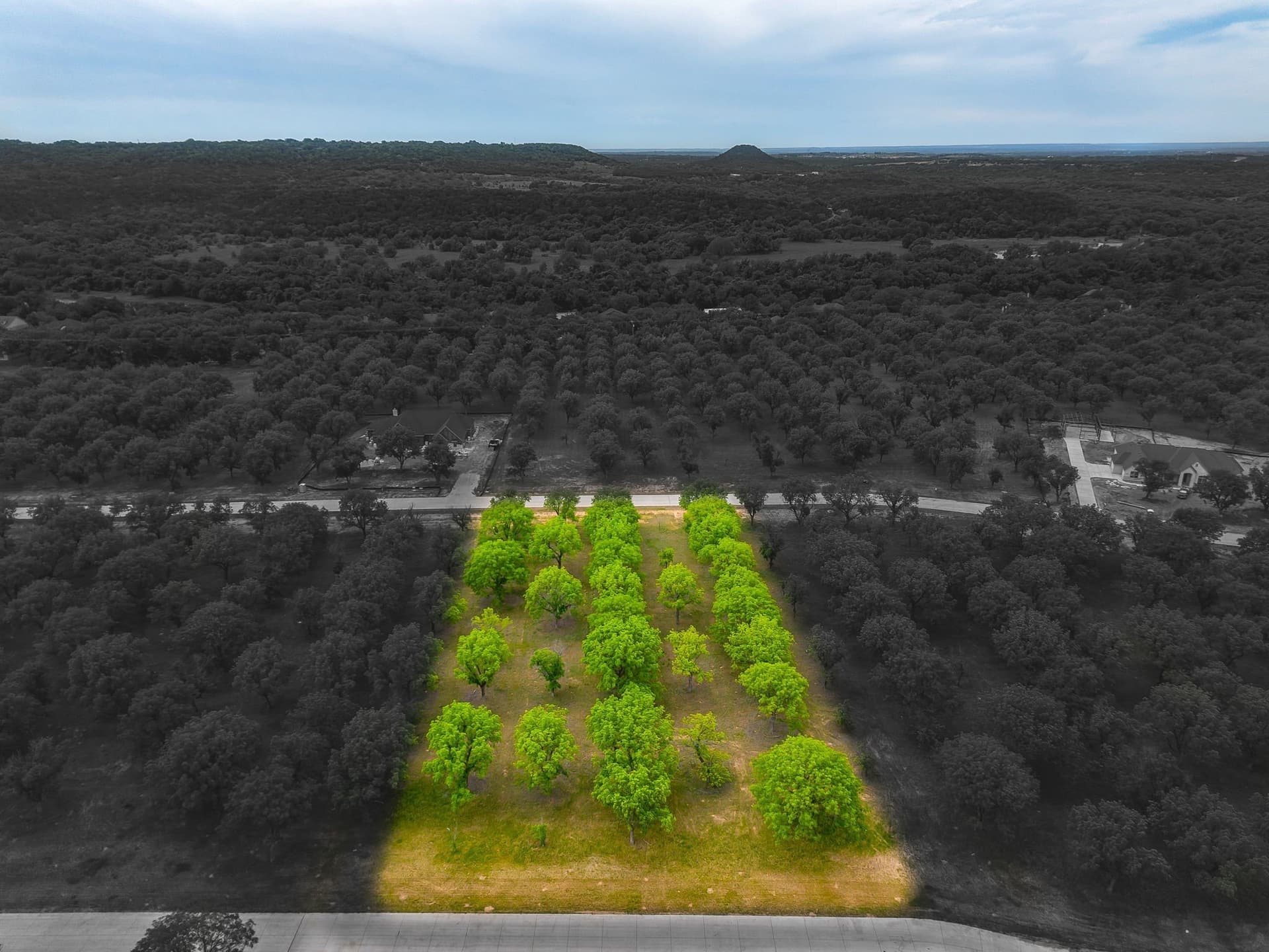1.5 acres in Hood County gallery image 2