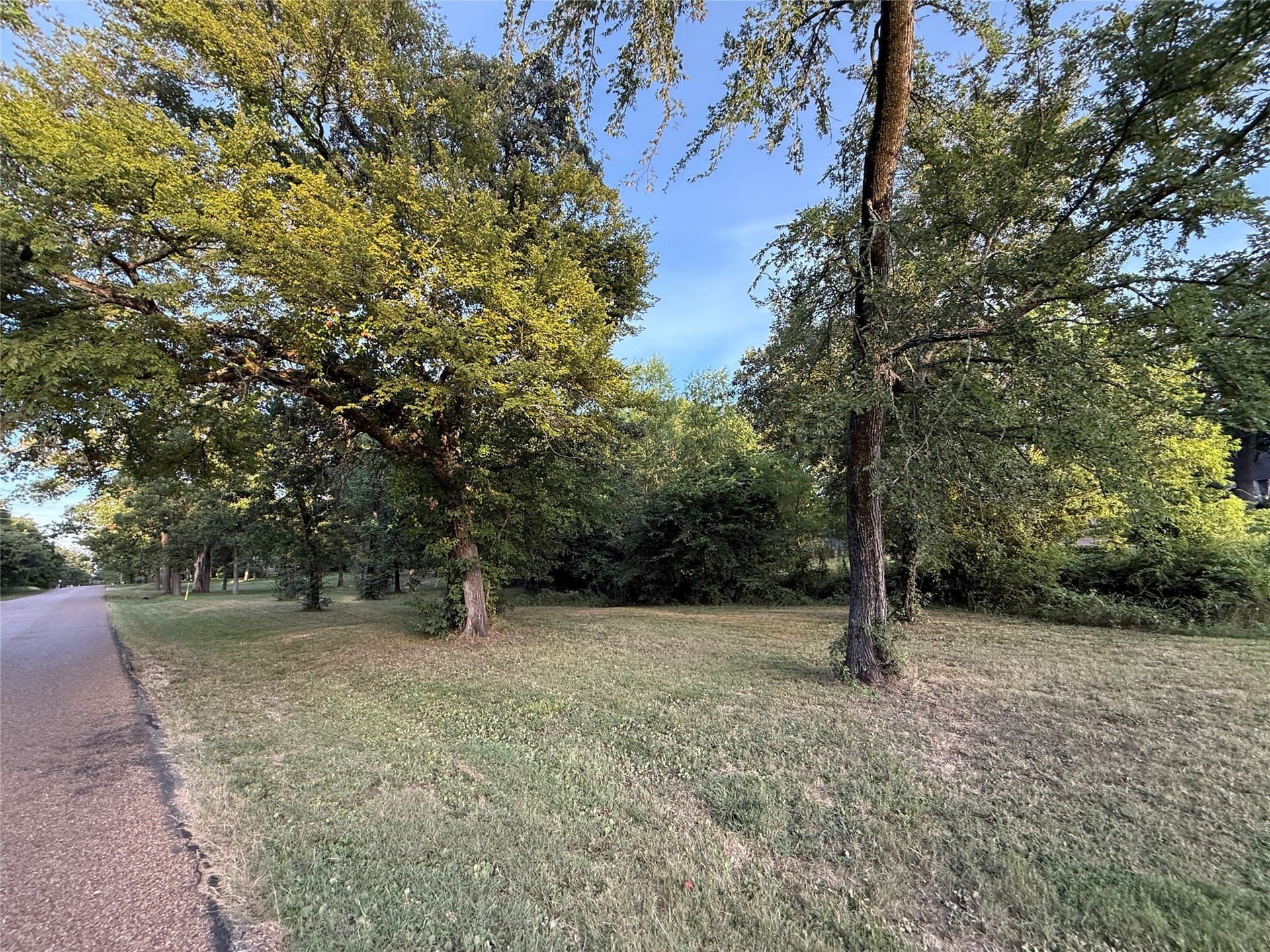 0.54 acres in Henderson County - photo 11