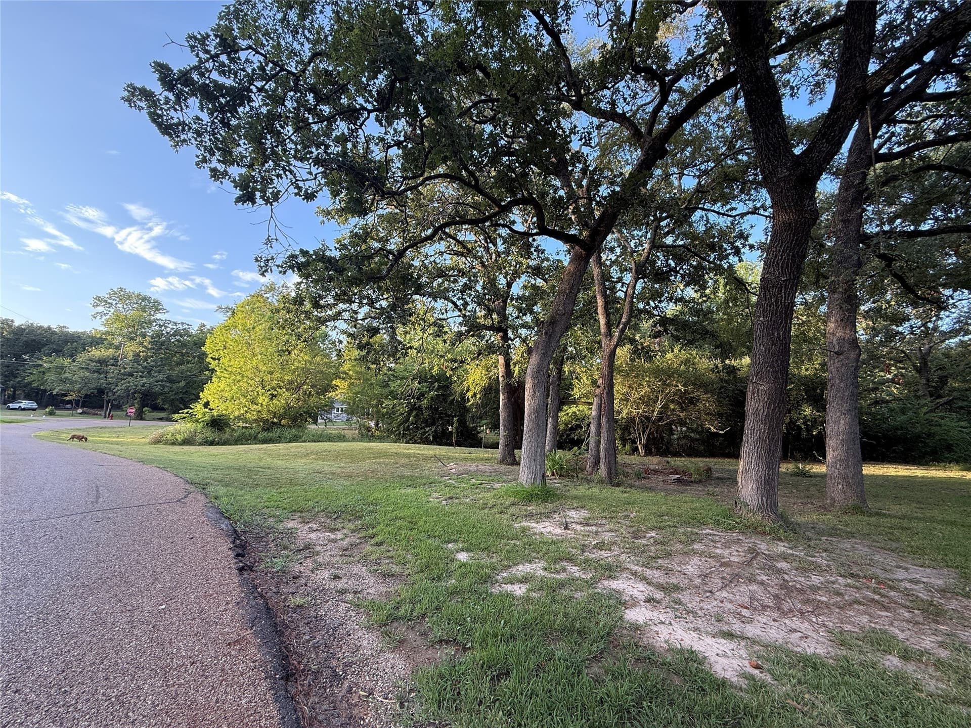 0.54 acres in Henderson County - photo 6