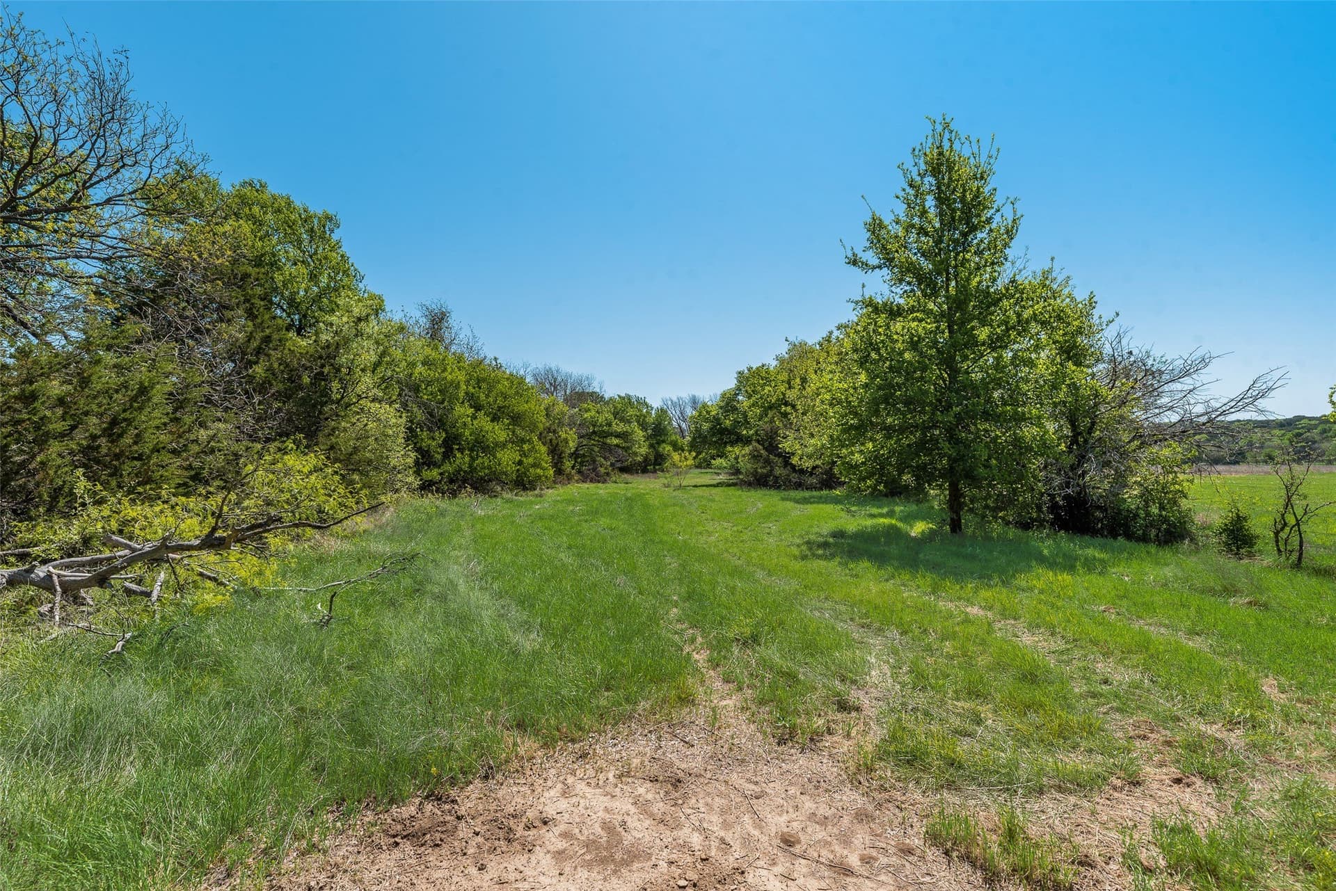 11 acres in Hood County - photo 21