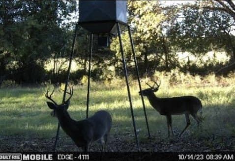 11 acres in Hood County - photo 31
