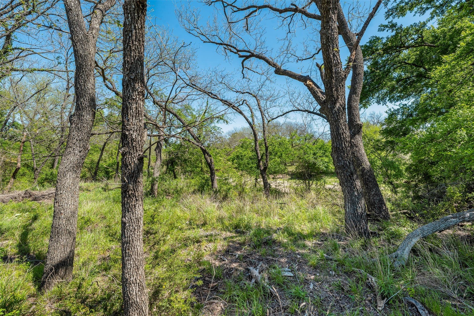 11 acres in Hood County - photo 11