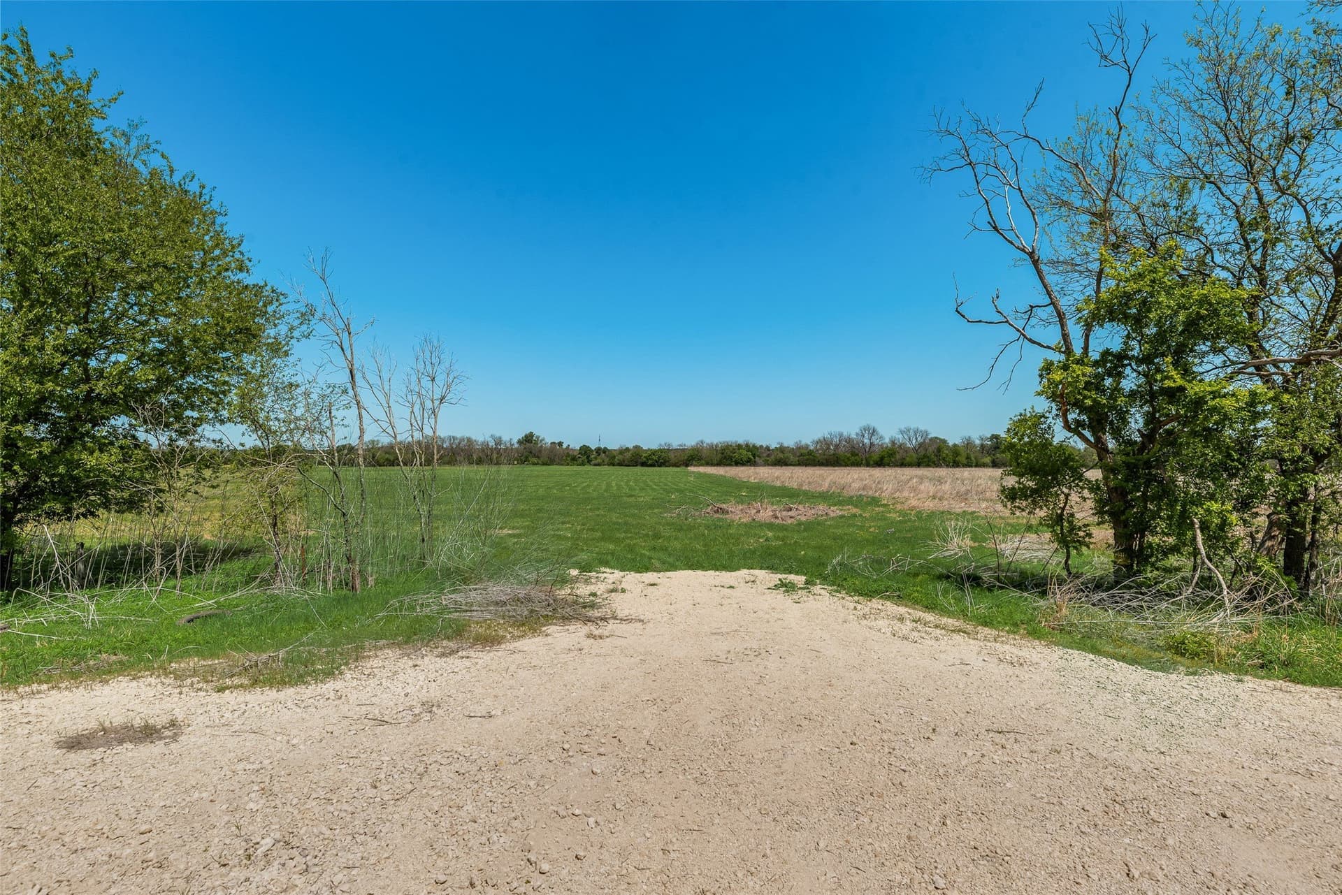 11 acres in Hood County - photo 5