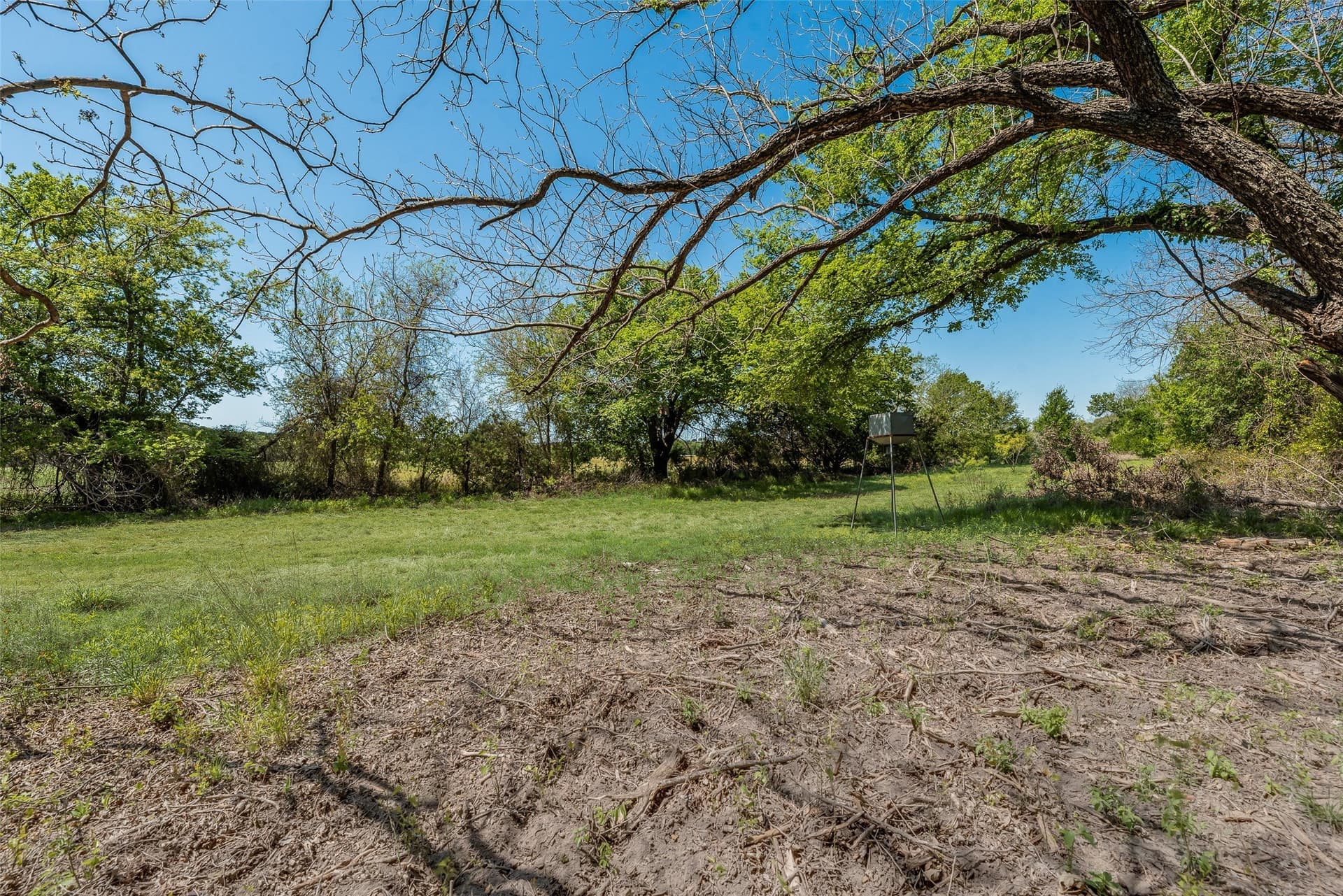 11 acres in Hood County - photo 17
