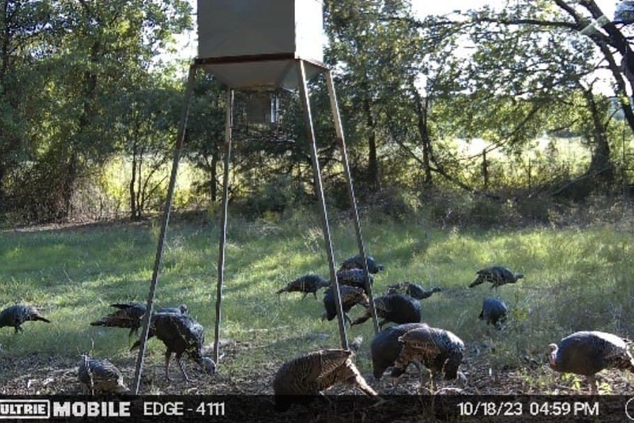 11 acres in Hood County - photo 32