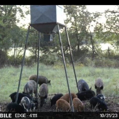 11 acres in Hood County - photo 33