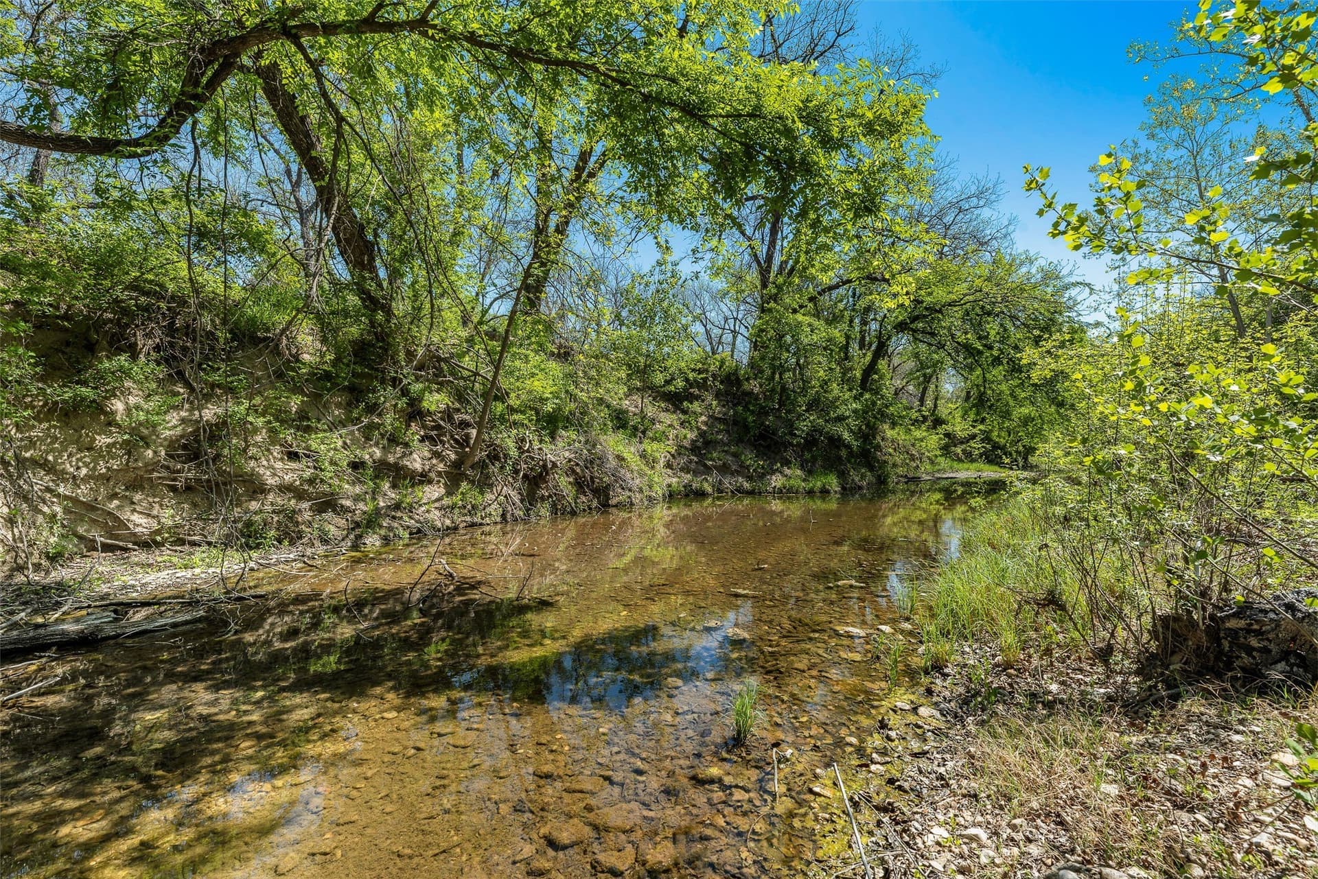 11 acres in Hood County - photo 12