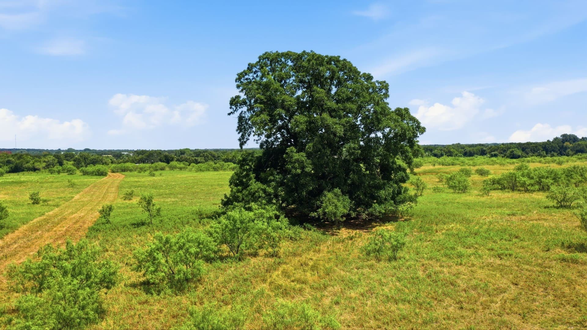 20 acres in Jack County - photo 11