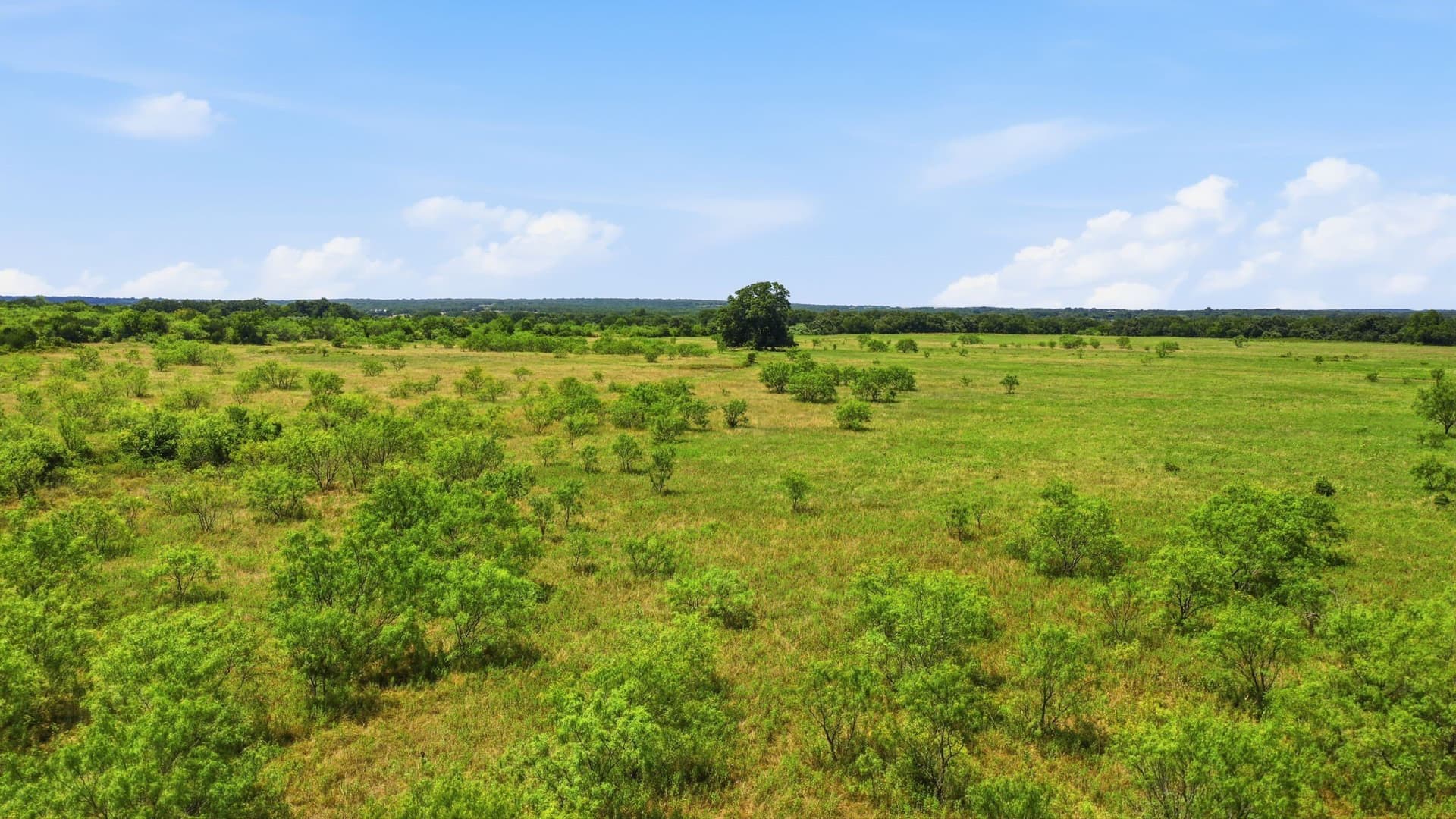 20 acres in Jack County - photo 16