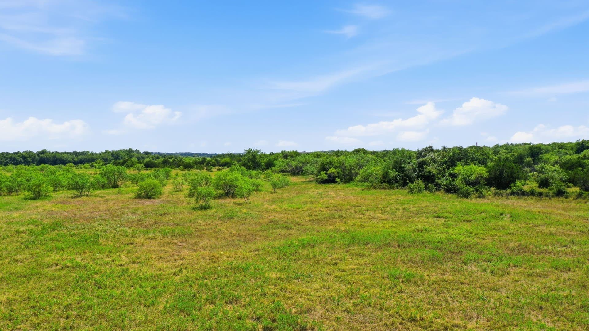 20 acres in Jack County gallery image 3