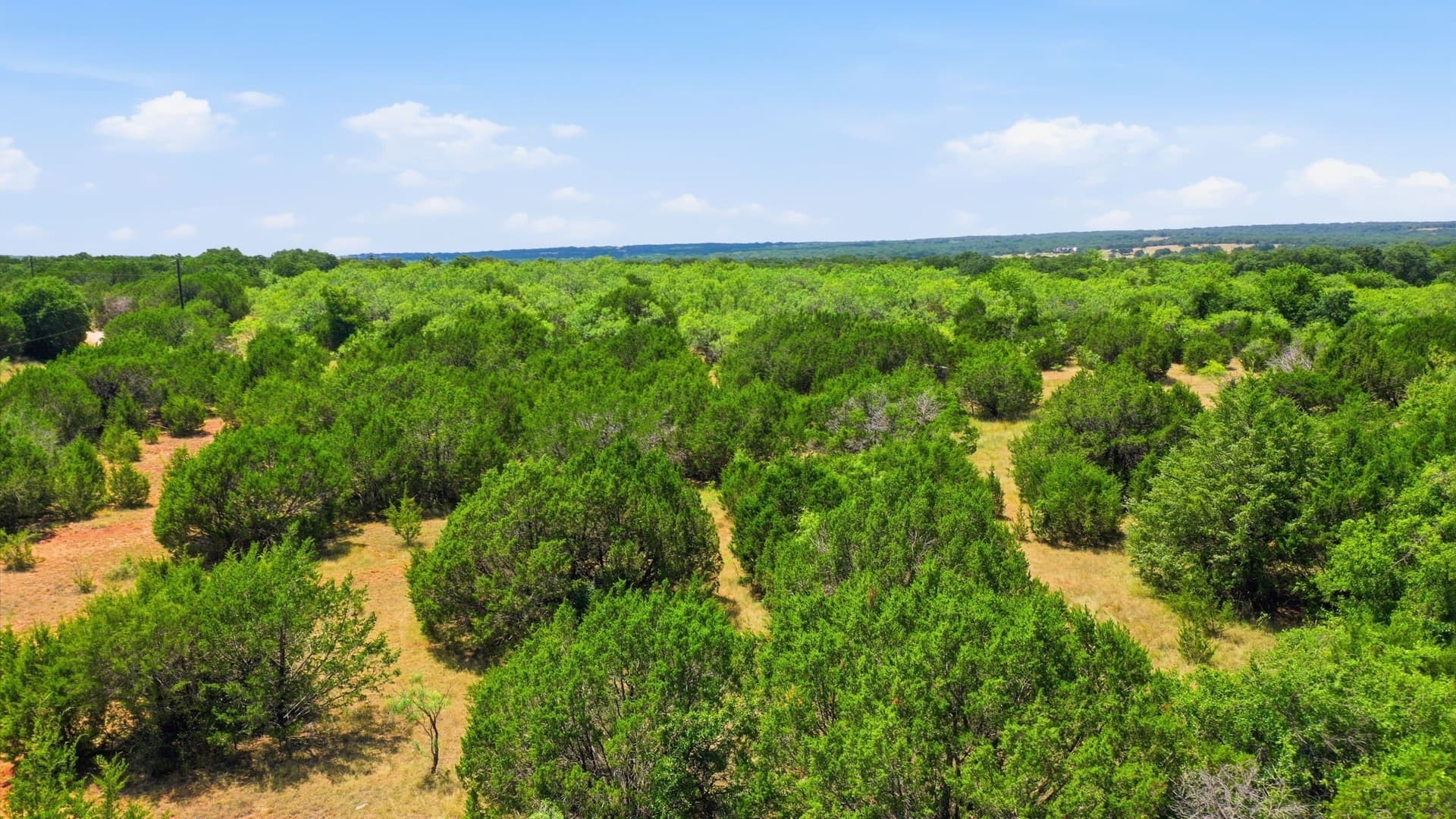 20 acres in Jack County - photo 19