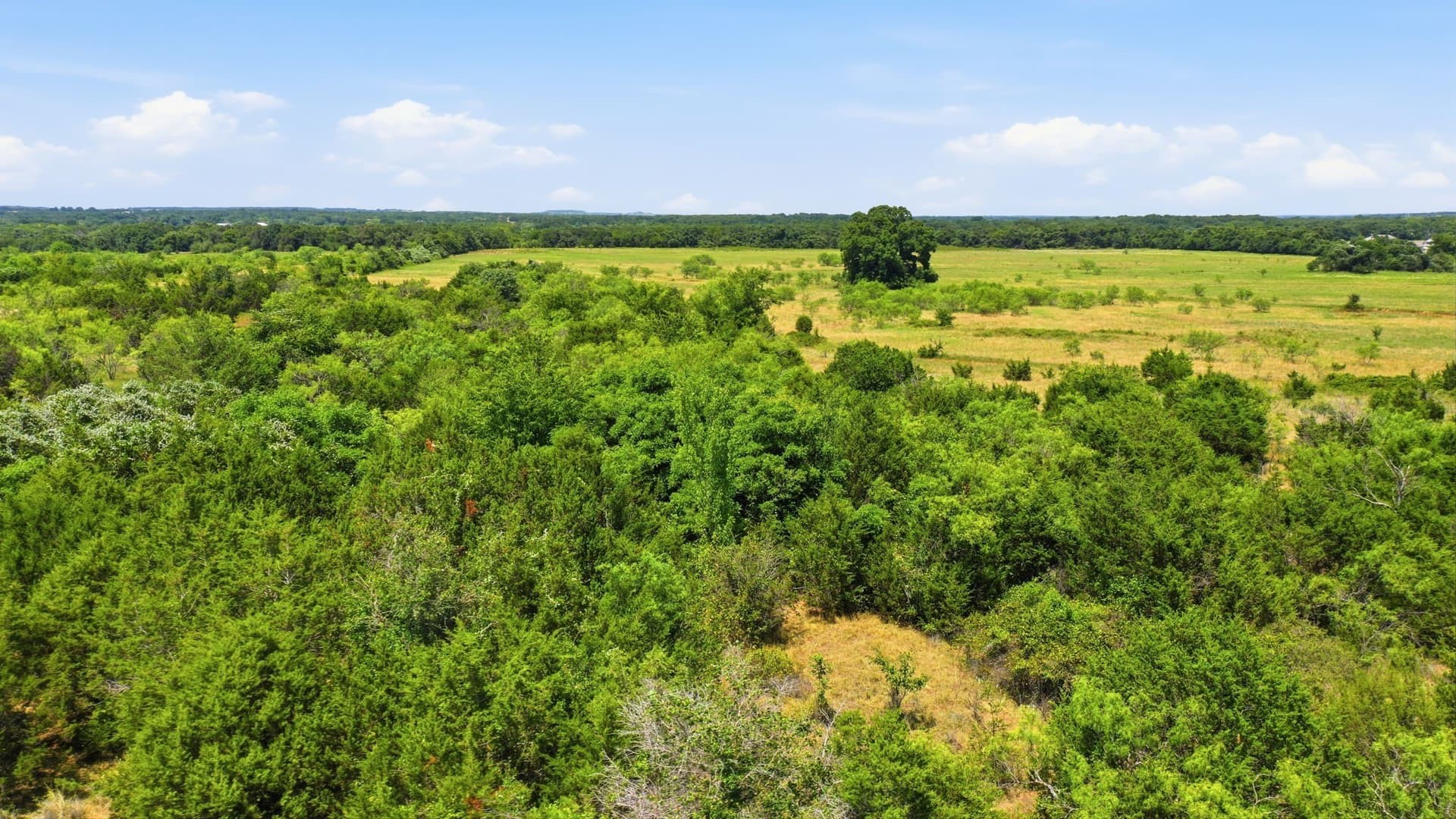 20 acres in Jack County - photo 17