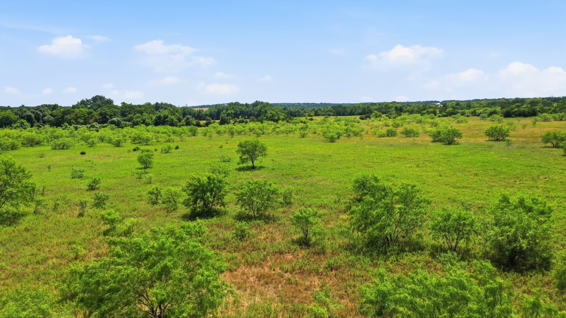 20 acres in Jack County - photo 13