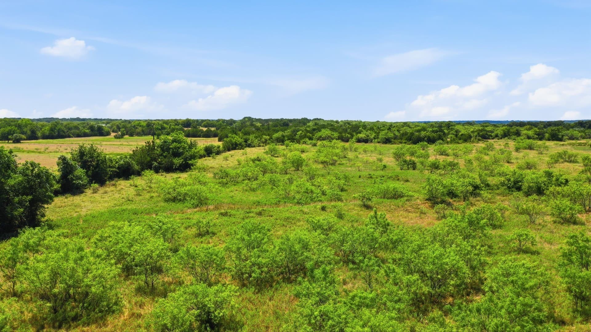 20 acres in Jack County - photo 15