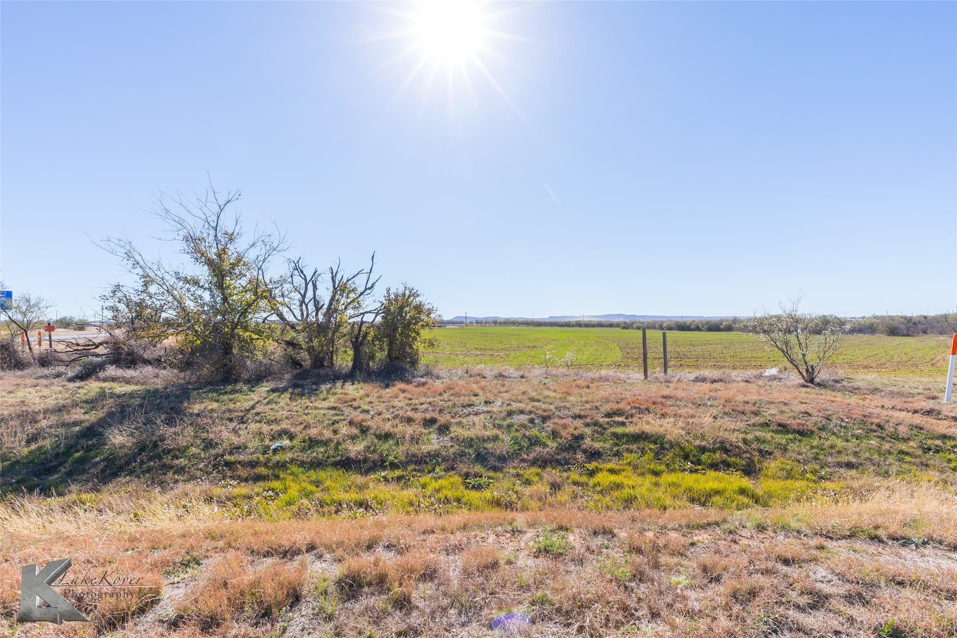 26.18 acres in Taylor County - photo 6