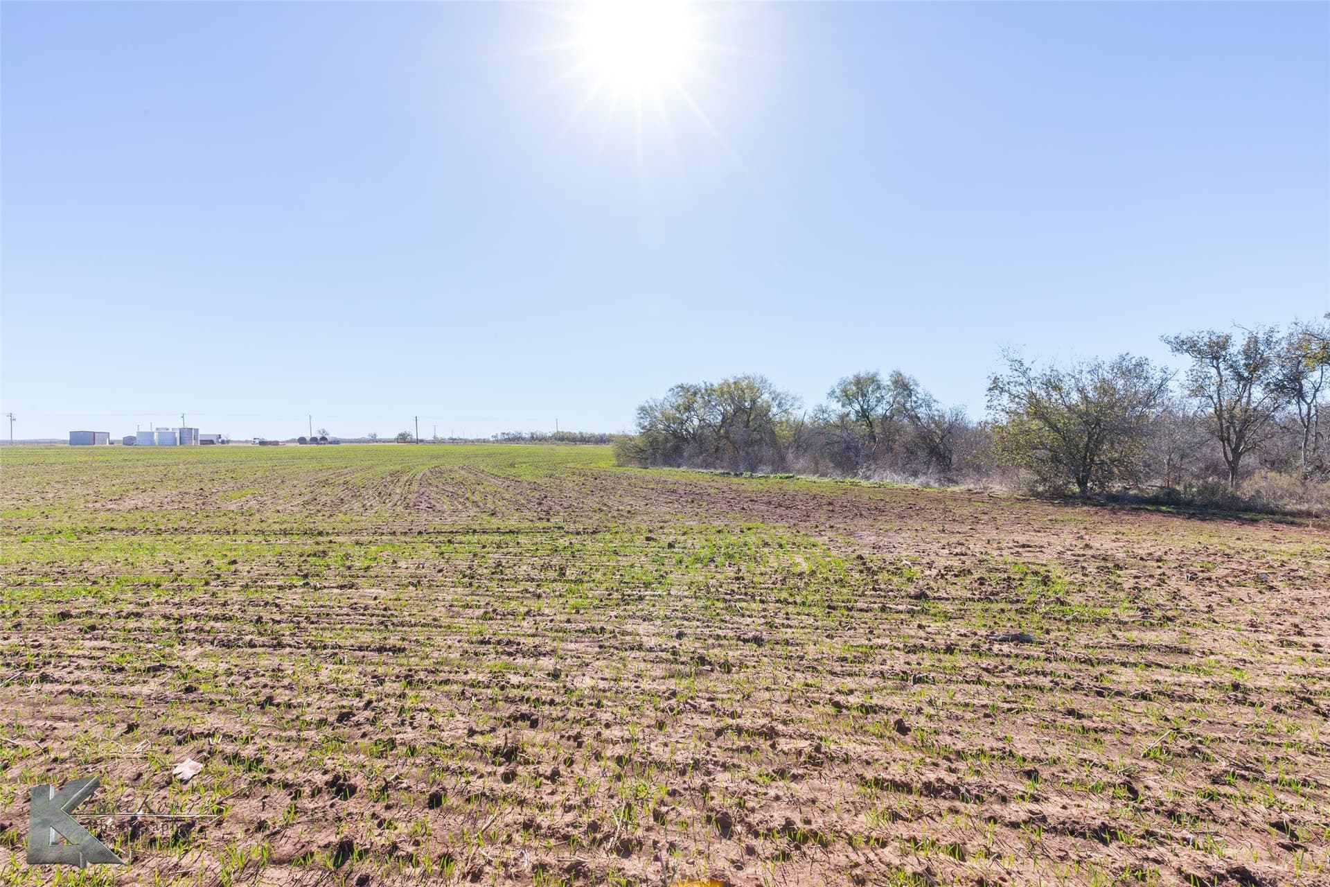 26.18 acres in Taylor County - photo 5