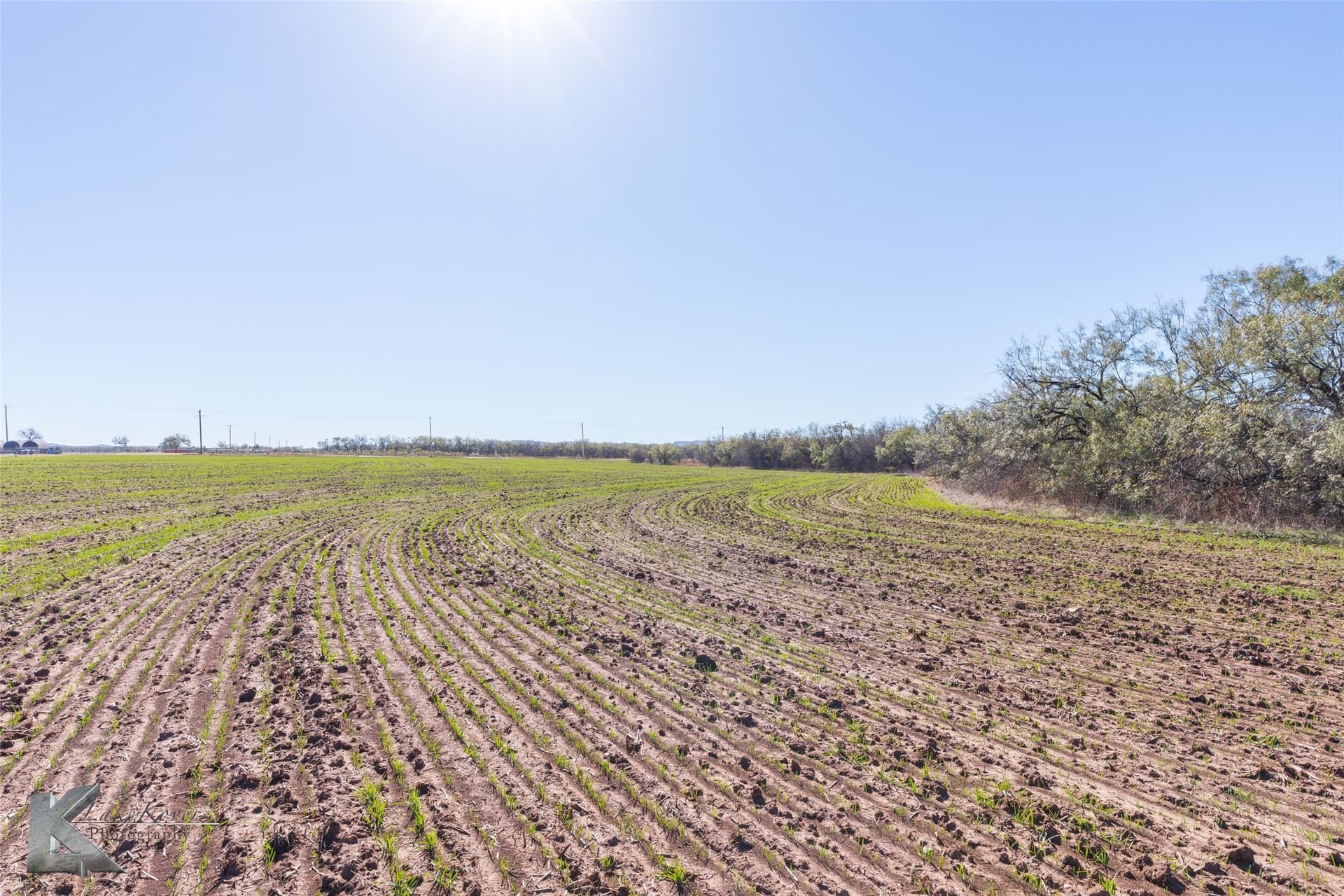 26.18 acres in Taylor County - photo 8