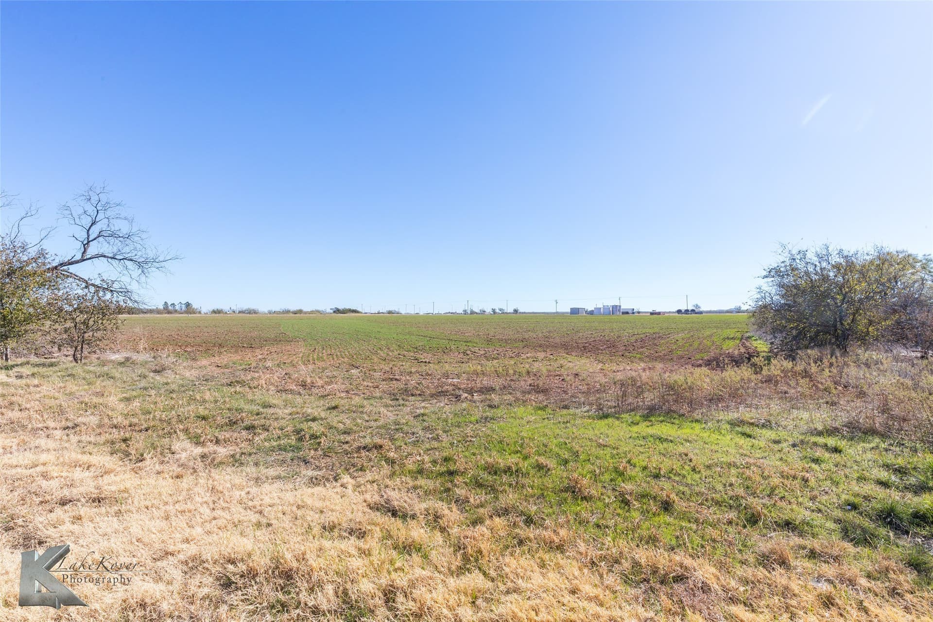 26.18 acres in Taylor County - photo 4