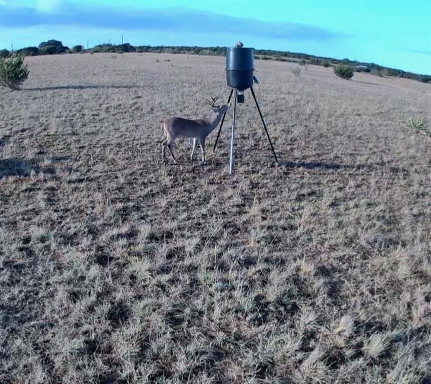 20 acres in Mills County featured view