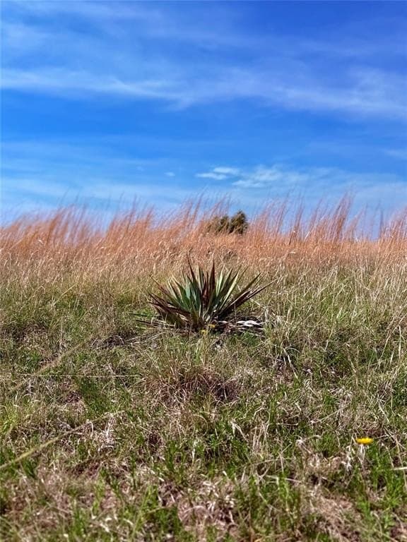 20 acres in Mills County gallery image 3